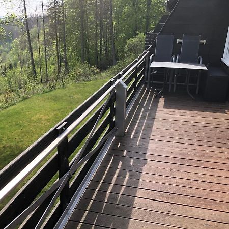 Fewo Nartura: Modern - Idyllisch - Stilvoll - Ruhig Санкт Андреасберг Екстериор снимка