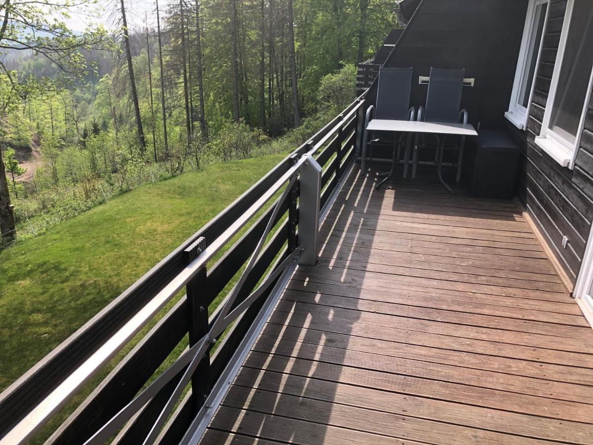 Fewo Nartura: Modern - Idyllisch - Stilvoll - Ruhig Санкт Андреасберг Екстериор снимка